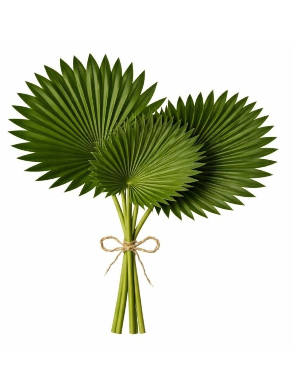 Artificial Fan Palm Leaves Set of 3 Real Touch Faux Palm Leaves Tropical Greener